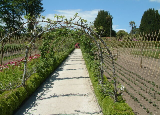 The Apple Arches in the Vegetable Garden at the Lost Gardens of Heligan