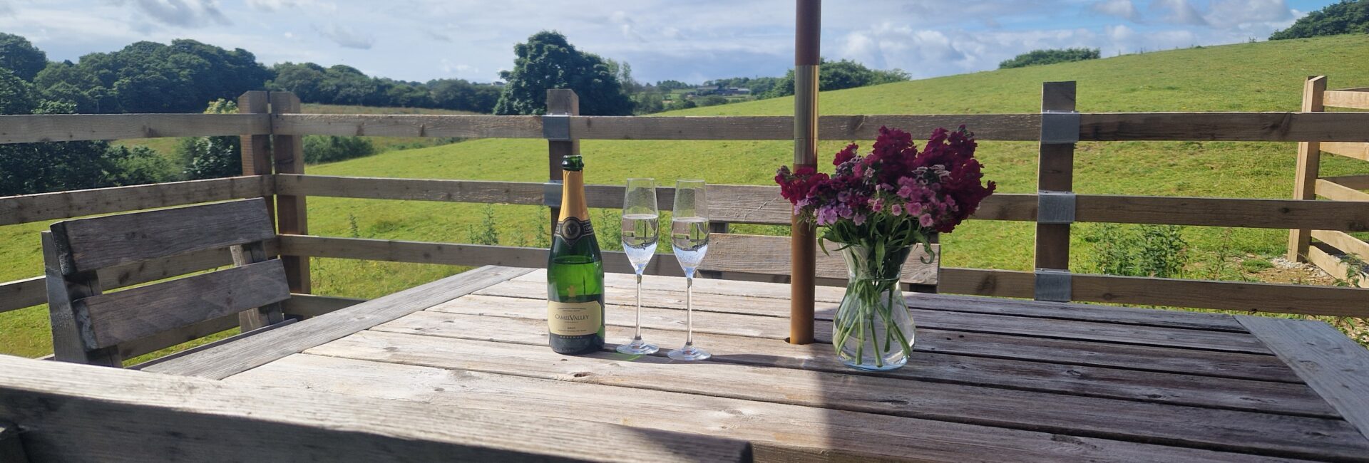 Enjoying a glass of Camel Valley English sparkling wine overlooking the open fields from Buzzard Watch patio.