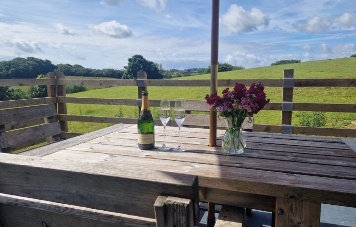 Enjoying a glass of Camel Valley English sparkling wine overlooking the open fields from Buzzard Watch patio.