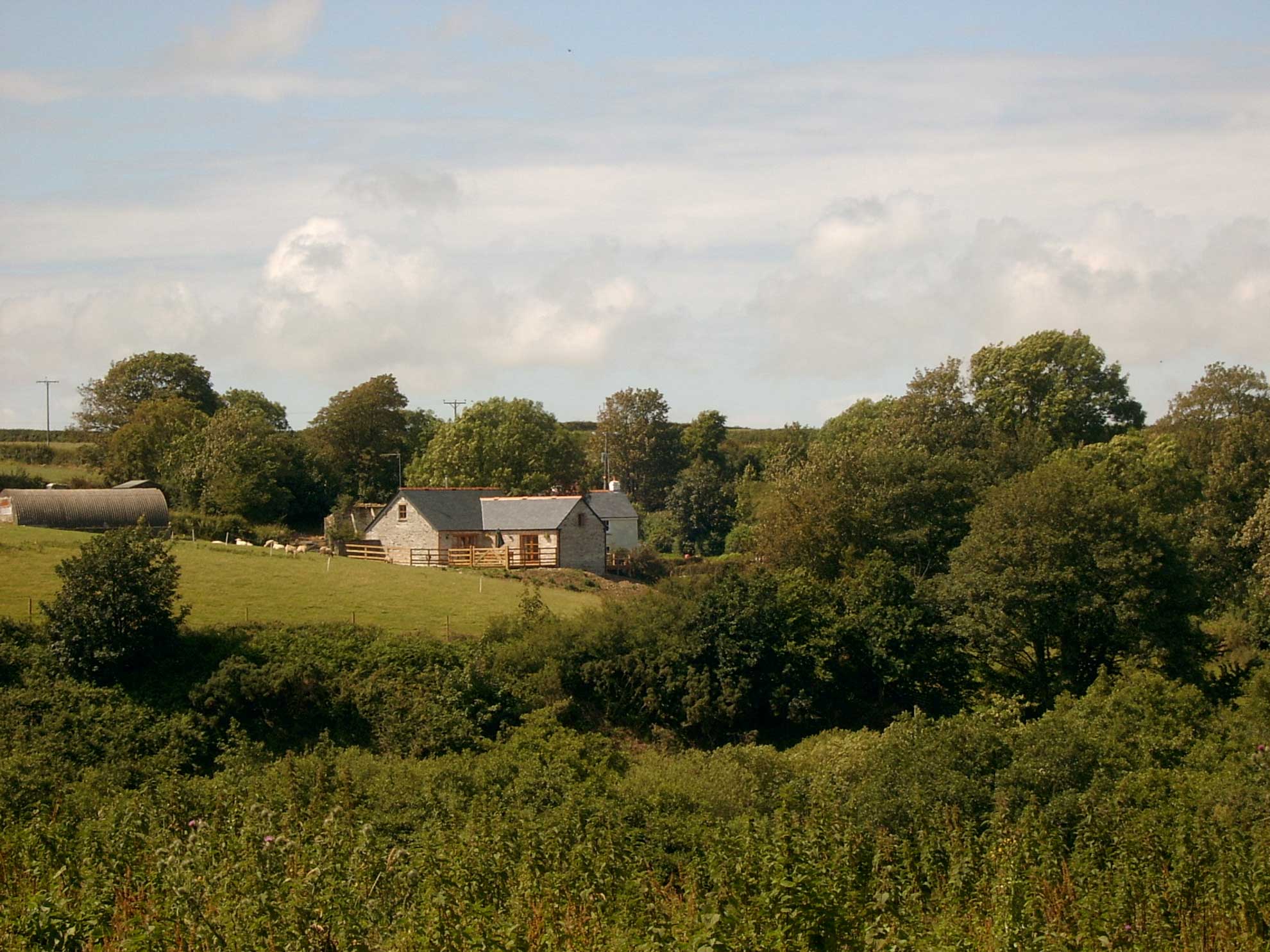 The view across the fields looking back to Buzzard Watch at Treworgans
