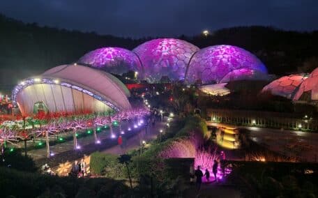 Multi Coloured Lights Illuminate the Biomes