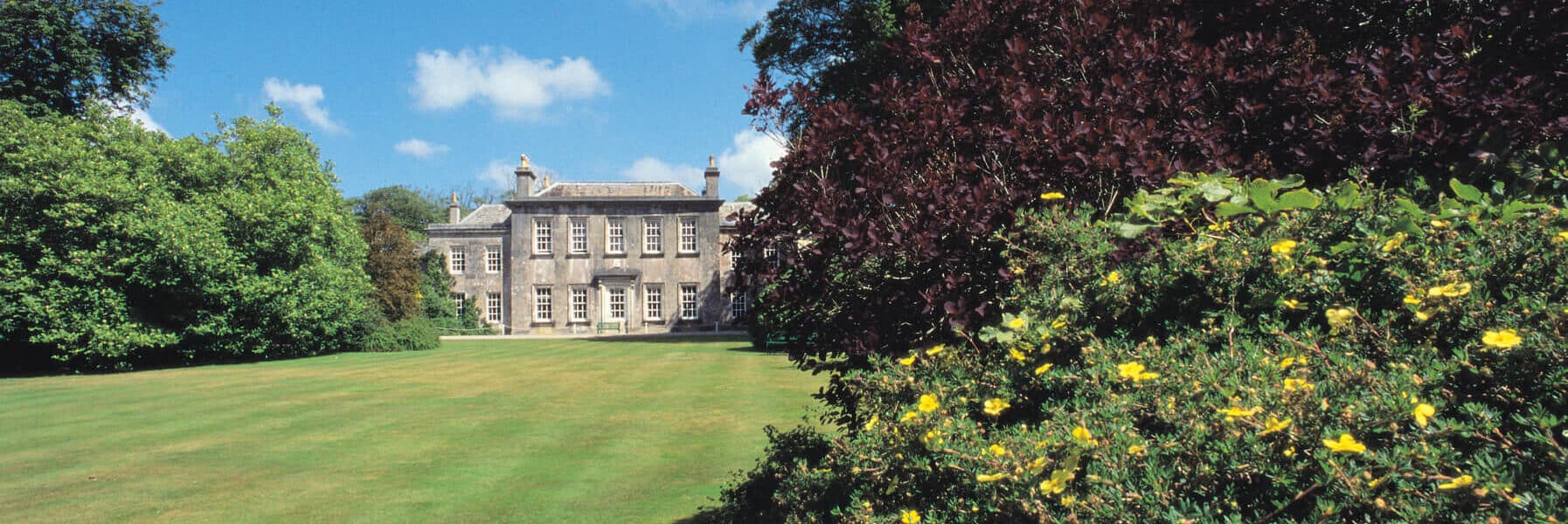 Looking down the lawn bordereded with Rhododendrons and Azaleas towards Trewithen house