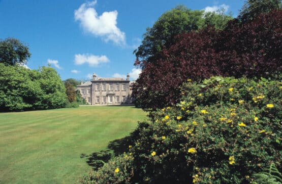 Looking down the lawn bordereded with Rhododendrons and Azaleas towards Trewithen house