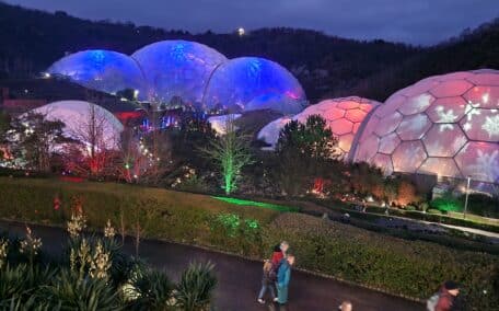 Looking down at all the Biomes that are lit up for the festive season