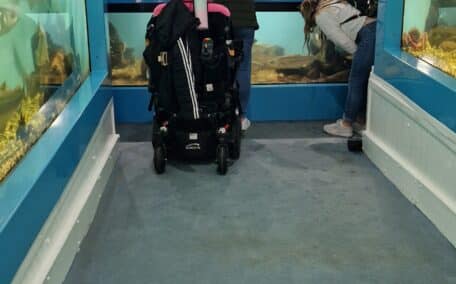 Wheelchair access in the Mevagissey aquarium